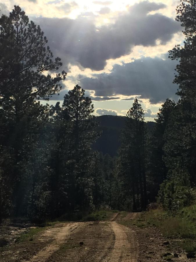 Priceless Black Hills View 래피드시티 외부 사진