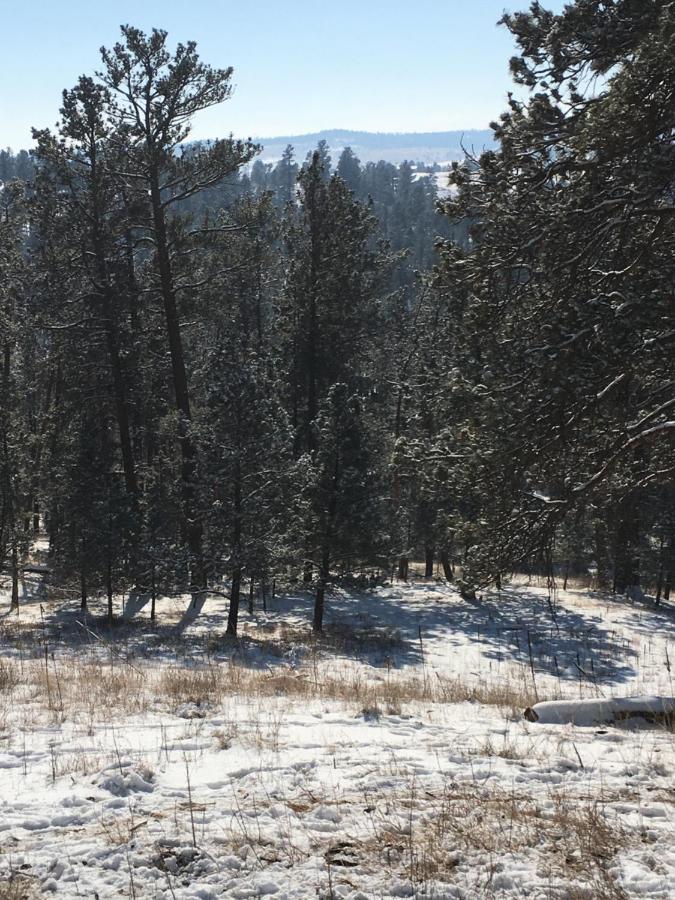Priceless Black Hills View 래피드시티 외부 사진